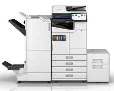 Printer EPSON AM-C5000